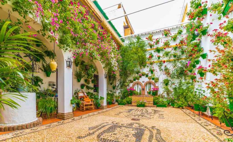 fiesta patio cordoba